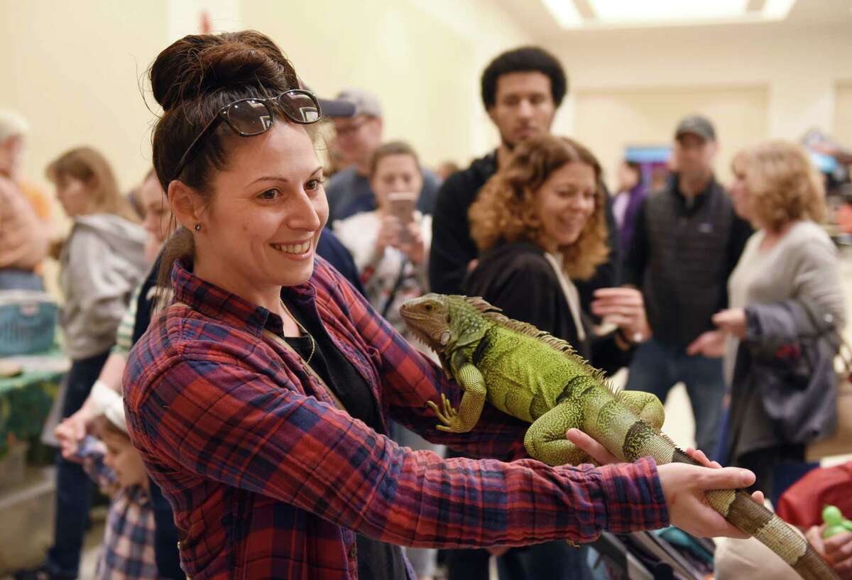 Marissa Baker holds an iguana during the inaugural Reptile Expo in downtown Saratoga Springs, N.Y., Saturday, May 4, 2019.  (Phoebe Sheehan/Time Union)