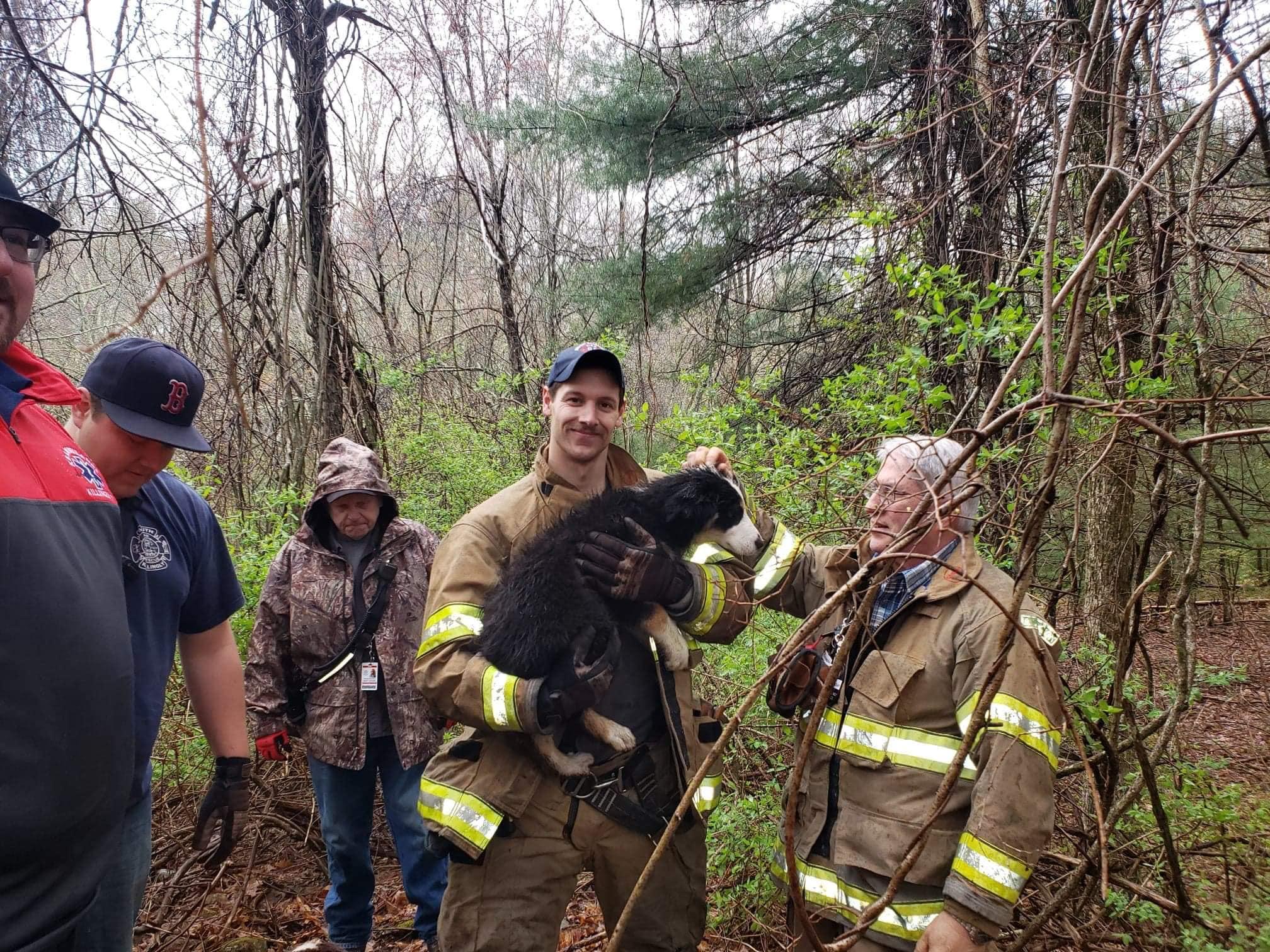 Firefighters rescue dog from well