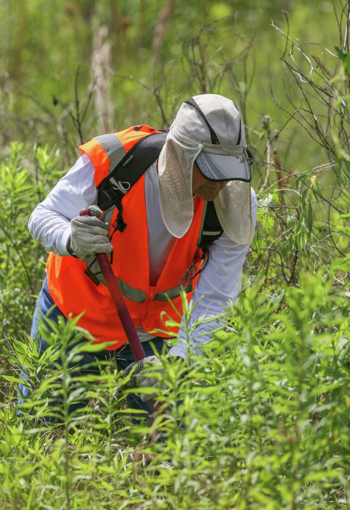 Texas EquuSearch joins HPD search for girl, 4, reported kidnapped