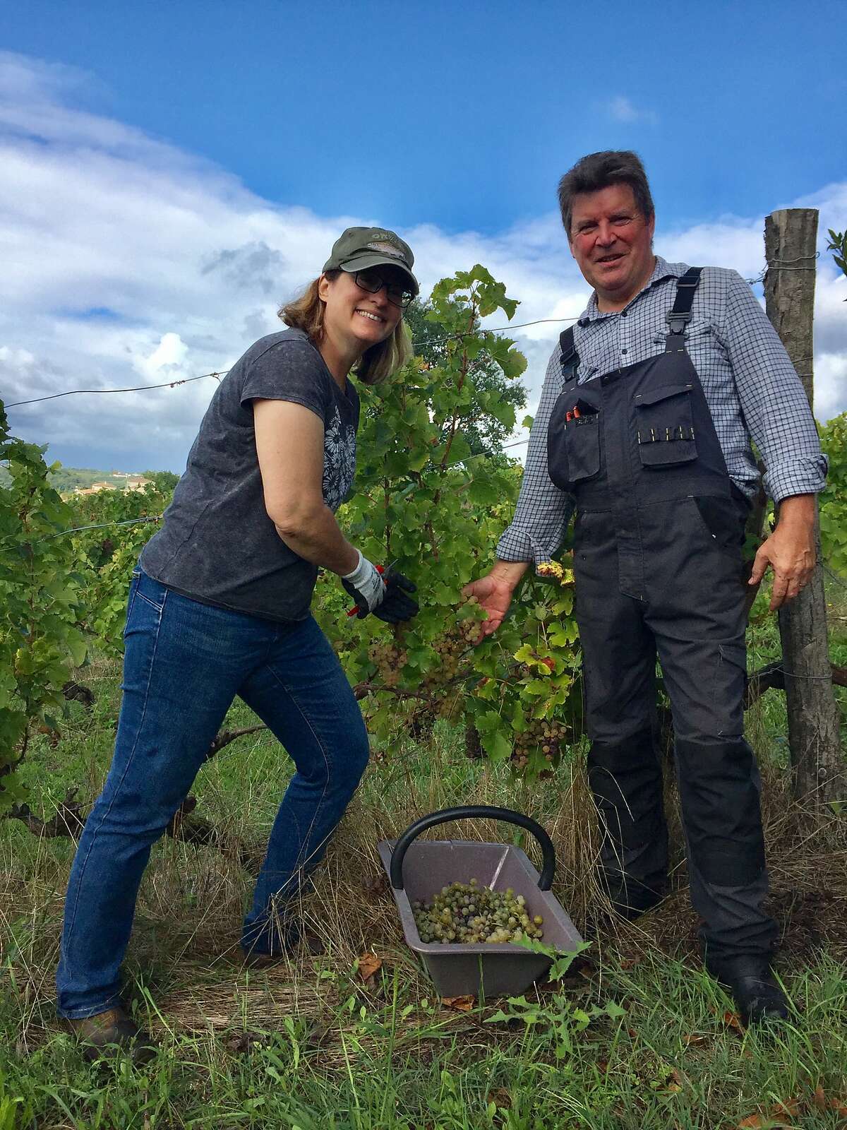 Diana Lucz (left) and Steve Lawrence tend the vines at Chateau La Corne, the Bordeaux estate that they own.
