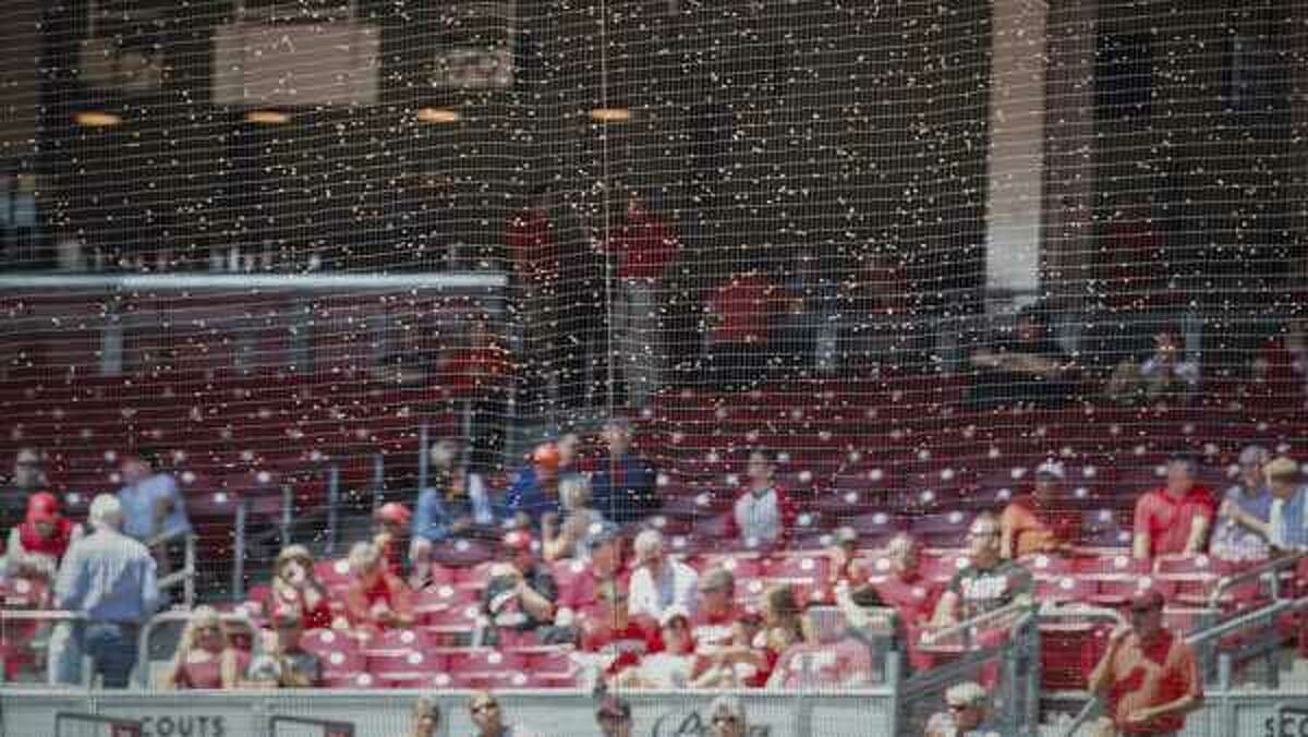 Derek Dietrich 'helps' during bee delay 