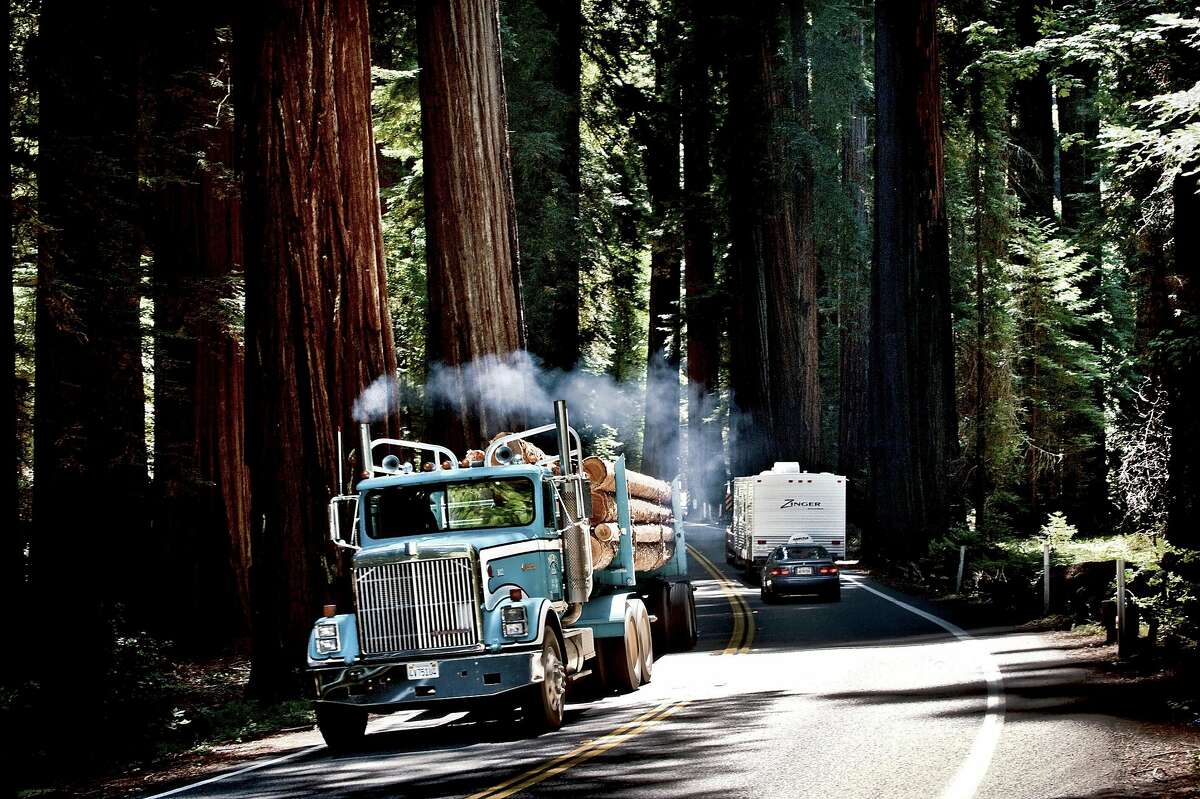 A truck loaded with logs navigates a narrow stretch of Highway 101 through Richardson Grove State Park.