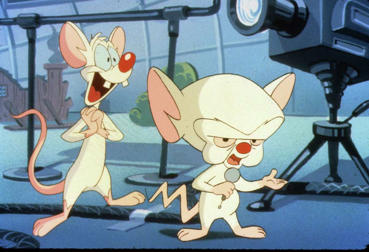 Pinky and the Brain. 