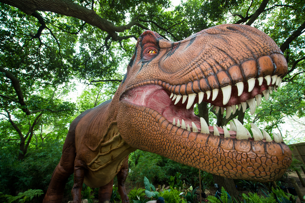 Lifesize animatronic dinosaurs set to take over Houston