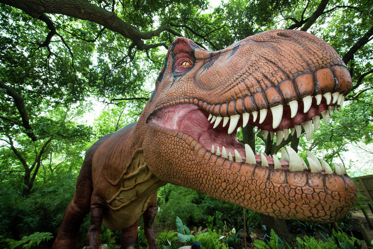 Catch dinosaurs at the Houston ZooThe zoo's exhibit of life-size animatronic dinosaurs will close Sept. 2.