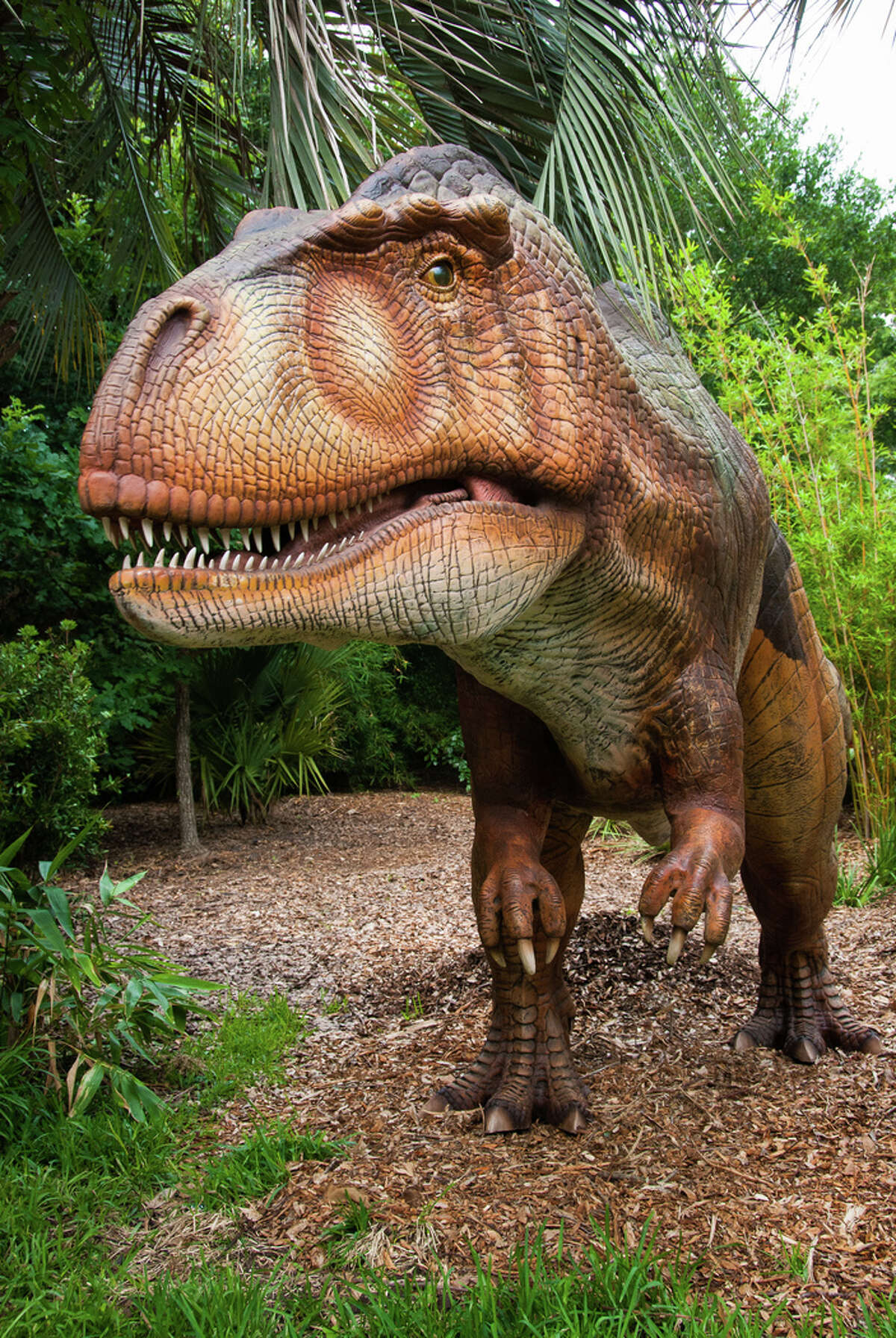 Life-size animatronic dinosaurs set to take over Houston Zoo