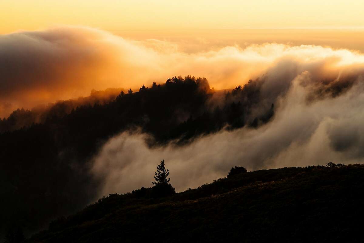 Fog rolls over the hills of Mount Tamalpais State Park in Mill Valley, Calif., on Wednesday, Dec. 19, 2018.