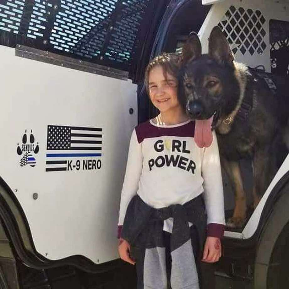 german shepherd toys for kids