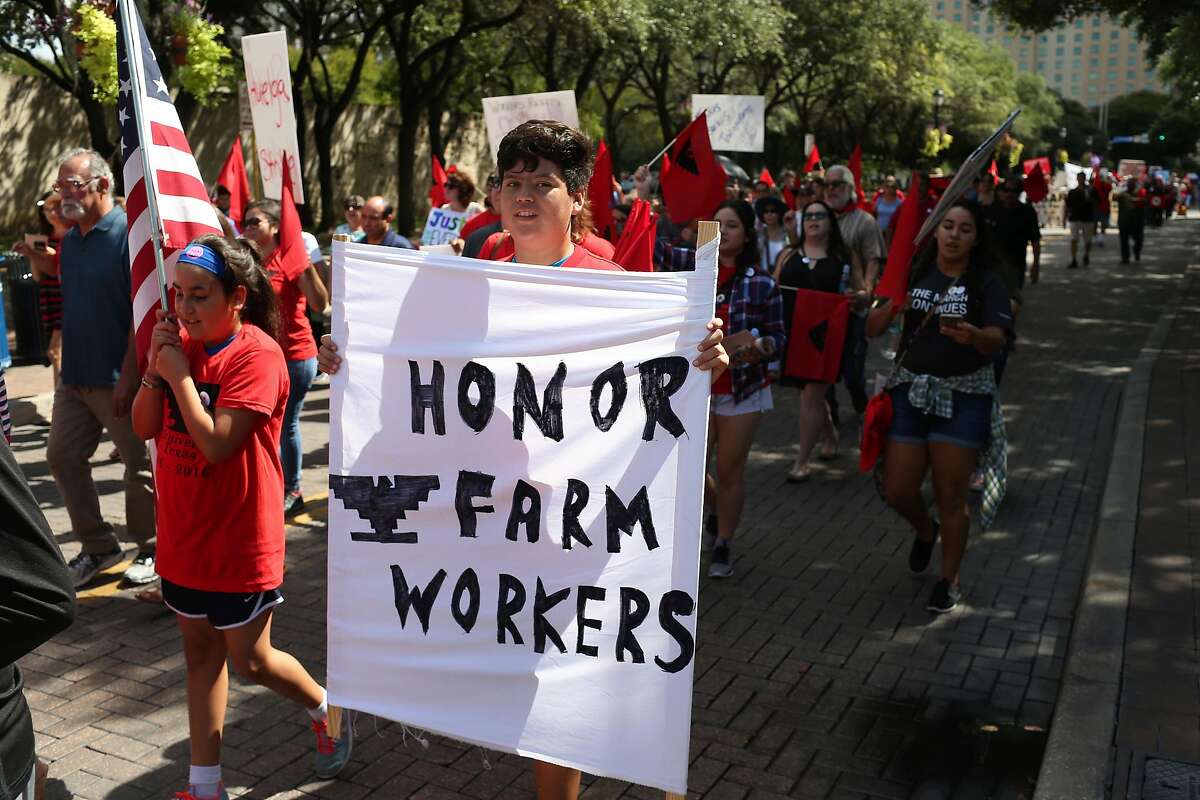 Union members and supporters gather to commemorate the 50th anniversary of the 1966 Starr County United Farm Workers Strike and March during a Mass at San Fernando Cathedral followed by a march to Milam Park, Monday, Sept. 5, 2016.