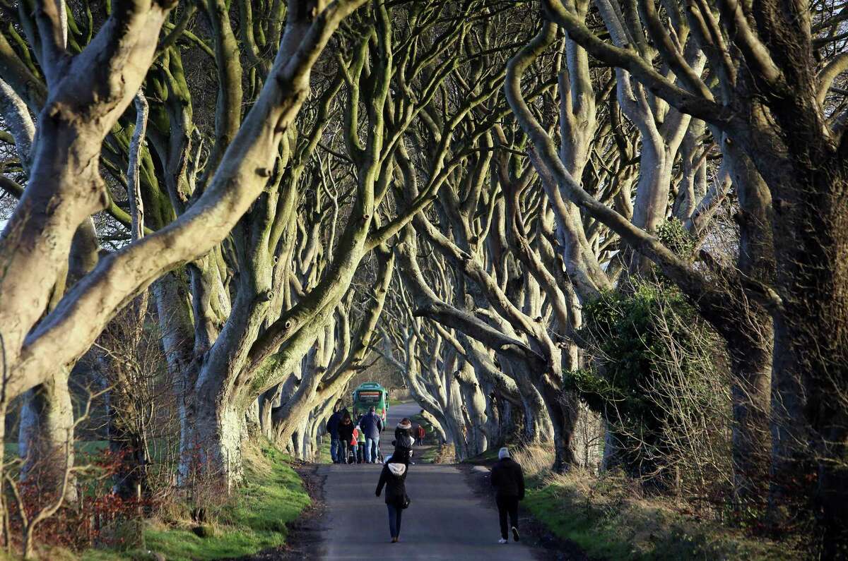 People walk along the Dark Hedges tree tunnel, which was featured in the TV series “Game of Thrones”, near Ballymoney in County Antrim, Northern Ireland, in 2016.