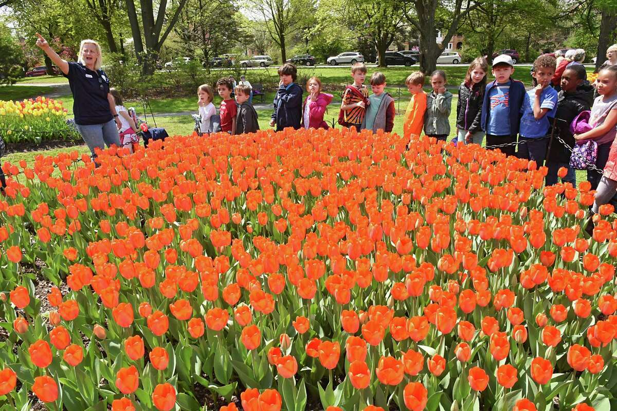 City gardener Jessica Morgan, left, gives a tour of the tulips to Montessori Magnet School students in Washington Park on Thursday, May 9, 2019 in Albany, N.Y. (Lori Van Buren/Times Union)