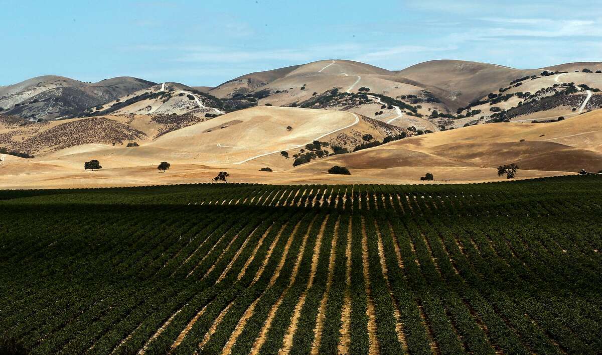 The vineyards and rolling hills of Hames Valley, on Thursday September 06, 2012, near Bradley, Calif., where the battle for mineral rights is underway. Nearly 18,000 acres of underground minerals in Monterey, San Benito and Fresno counties, all part of a chunk of rock known as the Monterey Shale, are shaping up as the latest stage for California's battle over fracking. Hydraulic fracturing, or fracking, consists of drilling and injecting fluid into the ground at high pressure to fracture shale rocks to release natural gas. The process is now heating up in California, where companies aren't required to say which chemicals they use, where they frack or even if they frack. Environmentalists have been pressuring state legislators to disclose that information, saying methane gas and toxic chemicals leach out from the system and contaminate groundwater.