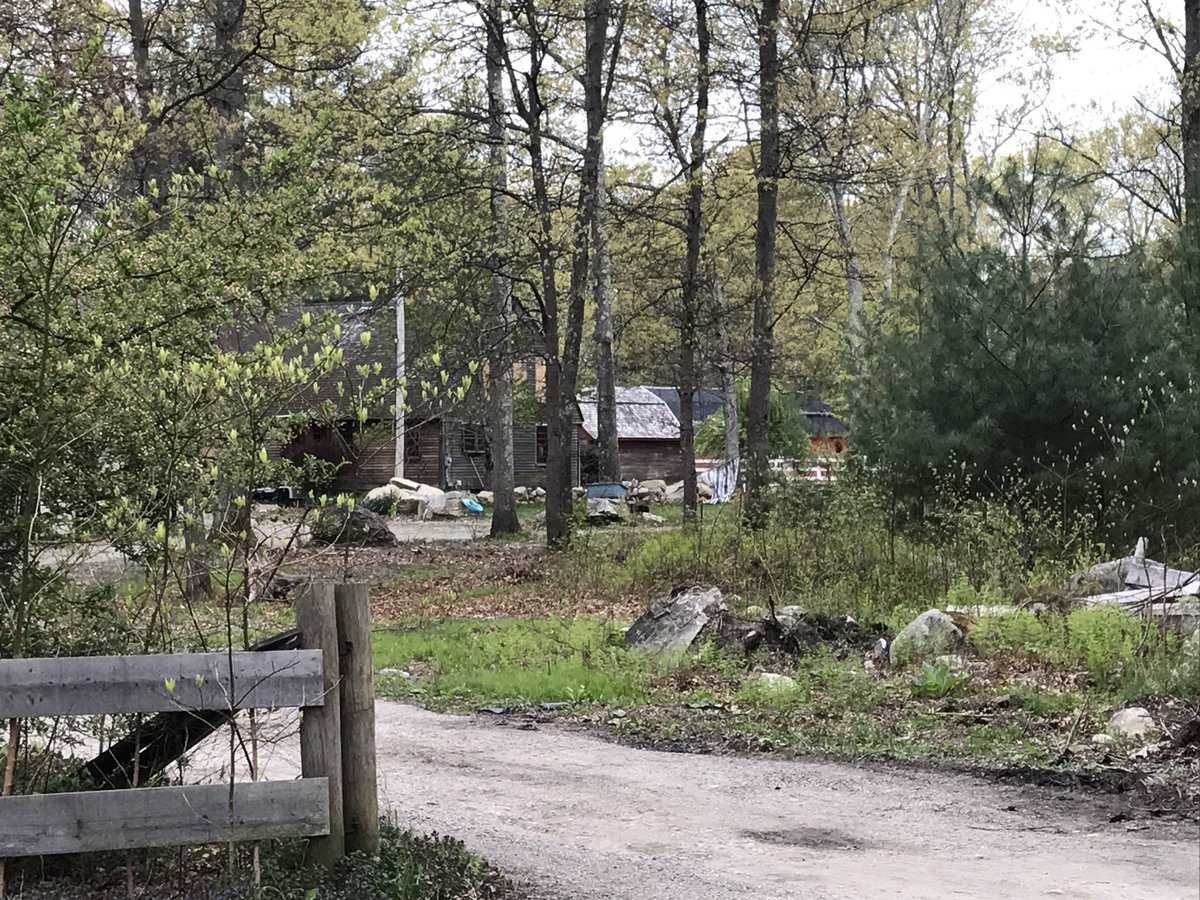 Report: 14-year-old boy mauled to death by dogs was taking care of ...