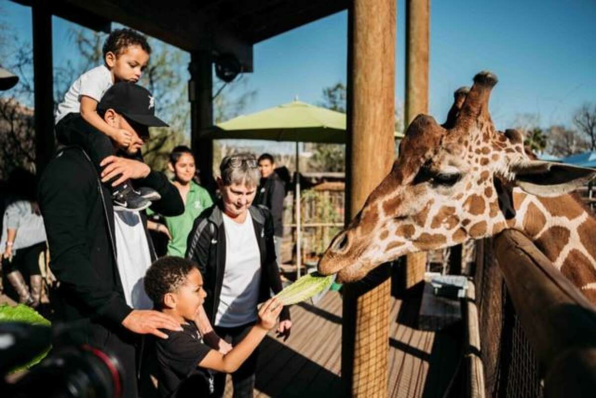 Spurs third-year guard Bryn Forbes is raising his two sons, Carter and Leo, as a single parent with the help of his mother, Sue Forbes who moved to San Antonio after closing her business in East Lansing, Michigan. The Forbes family is seen here feeding the giraffes at the San Antonio Zoo.
