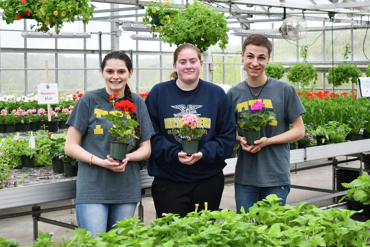 Members of the Northwest Connecticut Conservation District held their annual plant sale, Saturday and Sunday, May 11-12, 2019 at the vocational agricultural center at Northwestern Region 7 High School in Winsted. Shoppers were offered a large assortment of hanging baskets and geraniums, vegetables and bedding plants for containers and gardens. The plant sale, which is a springtime tradition in the northwest corner, ha been held  annually for decades and draws gardeners from around the state. Proceeds support the districts educational program.