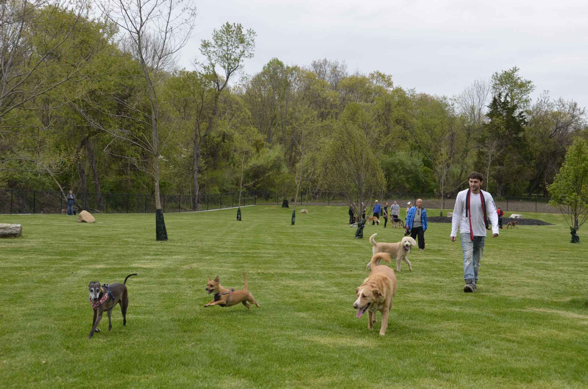 Pet owners rave about Milford’s expanded dog park - Milford Mirror