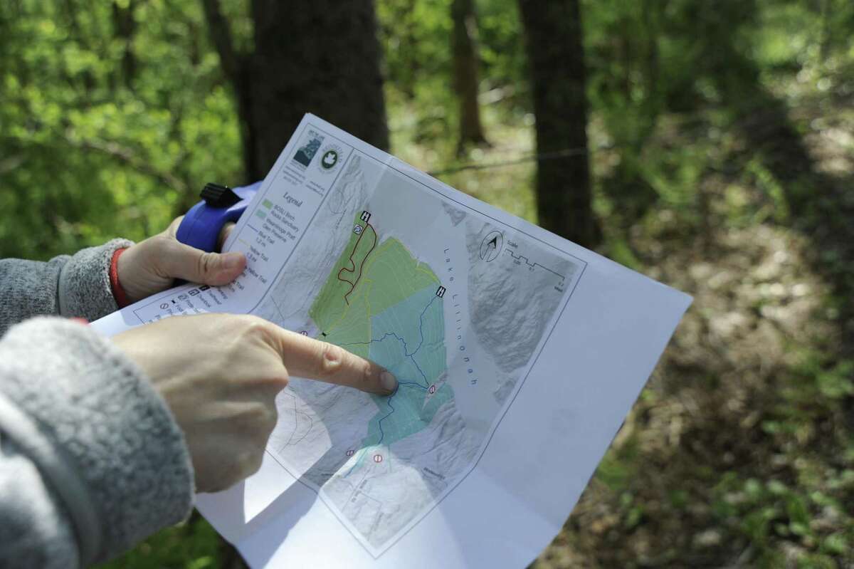 Carrie Davis, Weantinoge Heritage Land Trust's assistant director of land conservation, points to the area of Weantinoge Pratt Glen Preserve that was damaged in last year's macroburst. May 9, 2019.