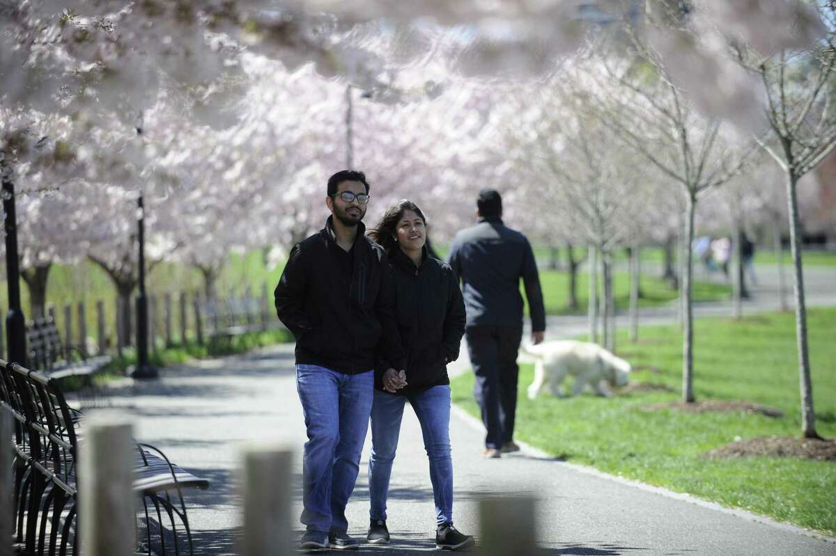 Rajutsha Nath of Norwalk and his wife Sraboni Chowdhury enjoy a spring walk together among blooming cherry blossoms at Mill River Park on Tuesday, April 16, 2019 in Stamford, Connecticut.