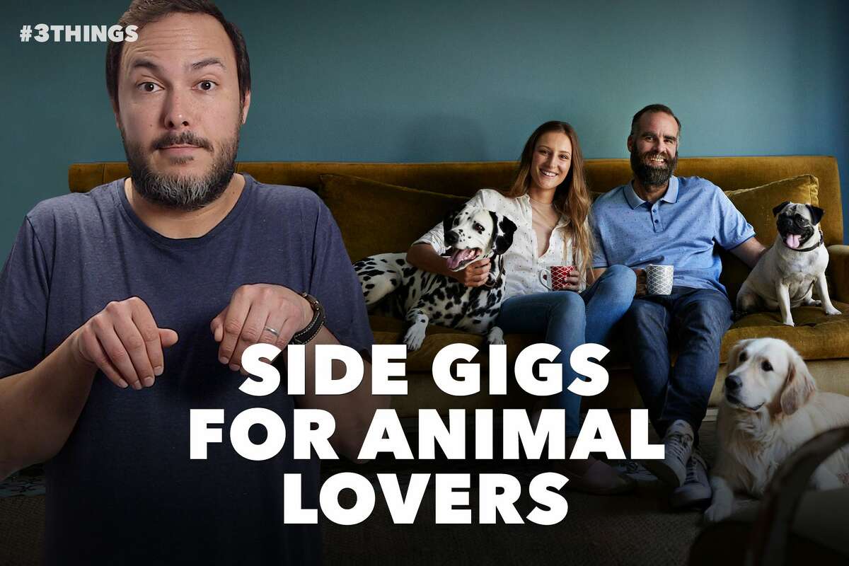 5 Jobs for Animal Lovers Looking to Make Extra Money (60-Second Video) 5 Jobs for Animal Lovers Looking to Make Extra Money (60-Second Video)