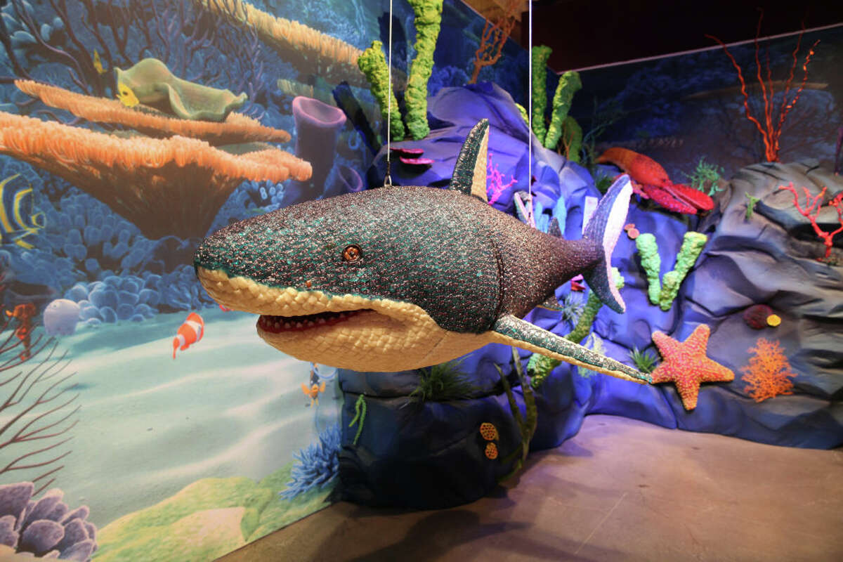 Houston will get a sugar rush when Candytopia arrives this summer