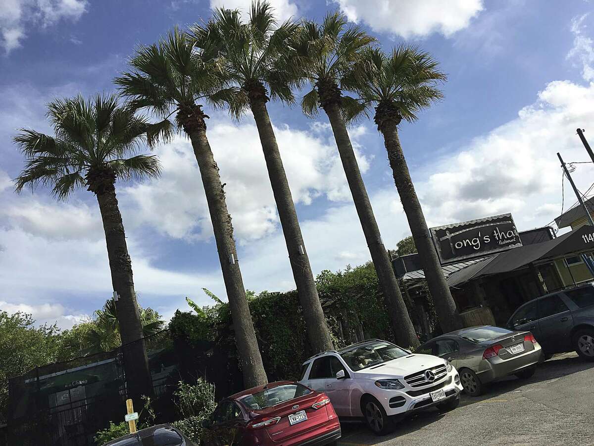 Review Tong’s Thai restaurant still serving up familiar faves on