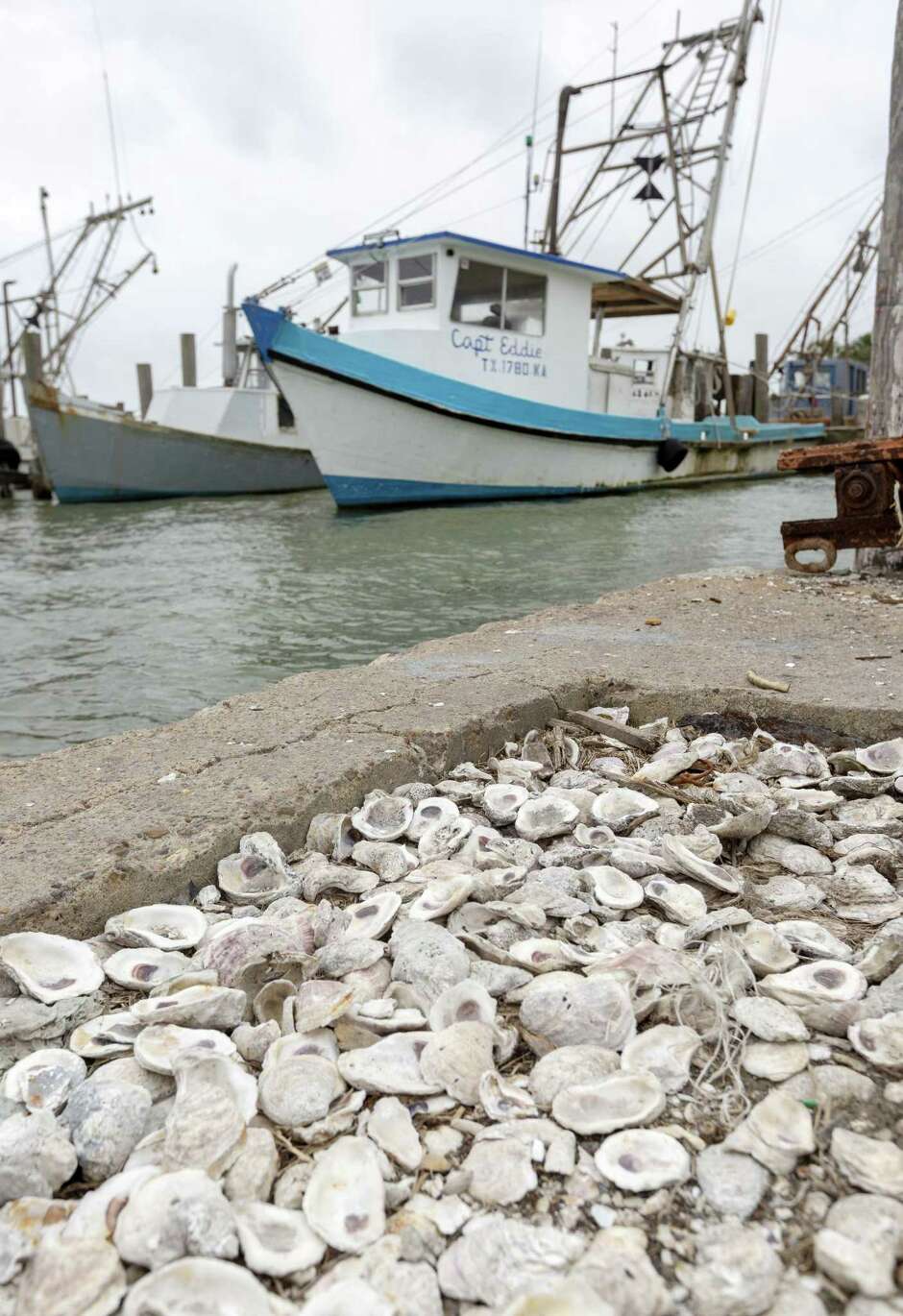 New Texas law allows oyster farming