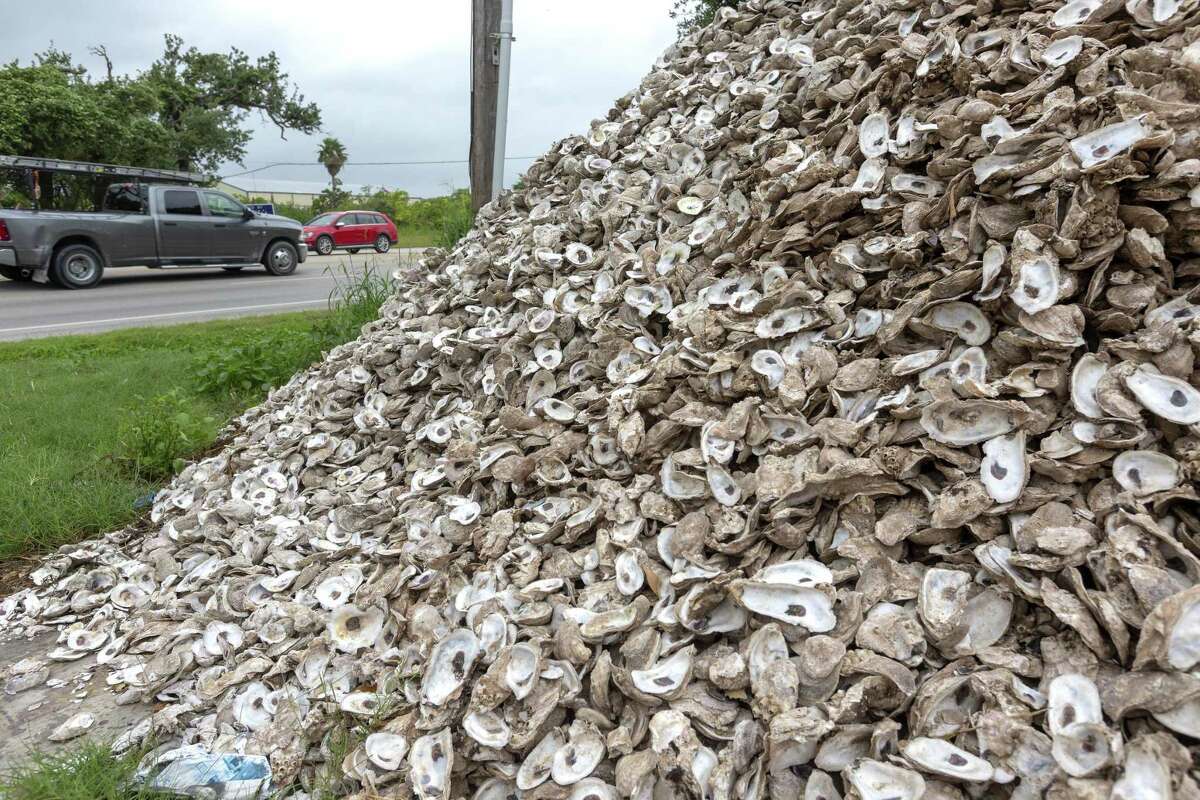 Embattled Texas coast rallies for homegrown oysters