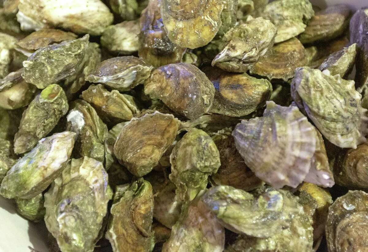Embattled Texas coast rallies for homegrown oysters