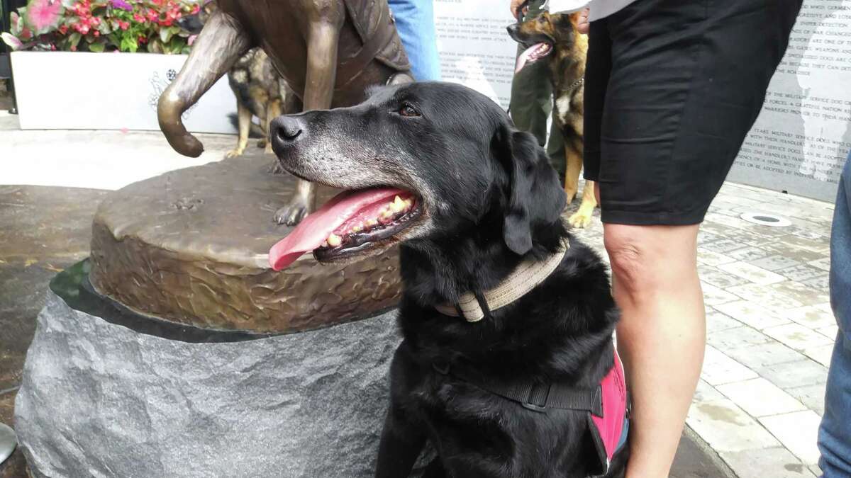 Statues unveiled in northwest Houston honor military service dogs