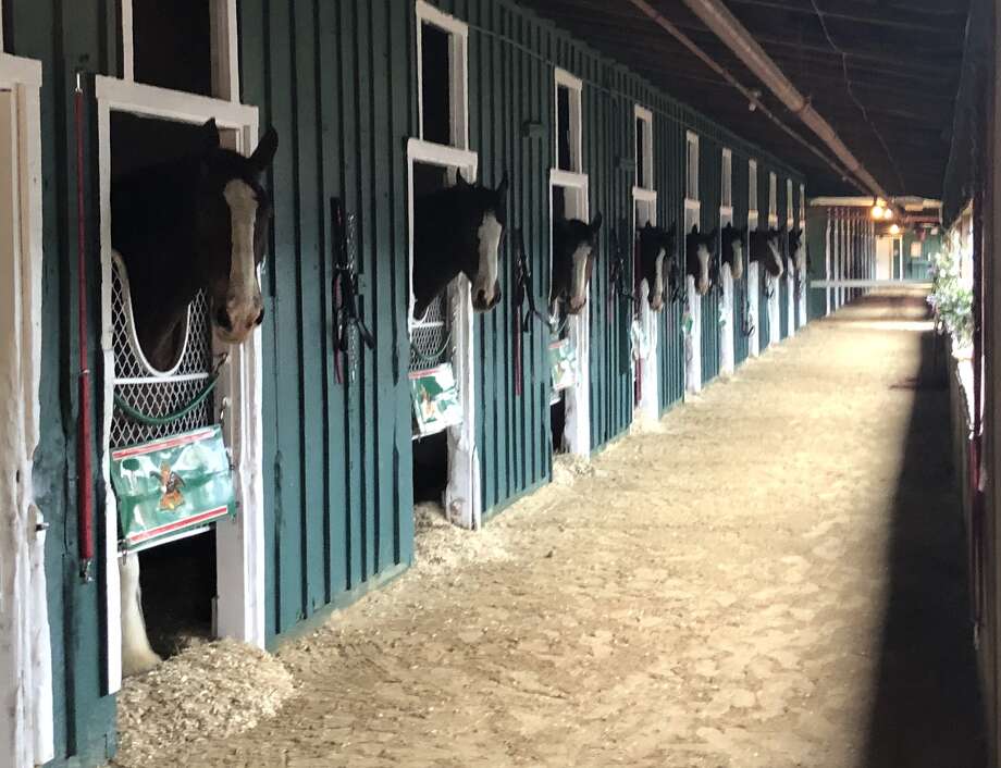 Postcard From Pimlico Race Course San Antonio Express News