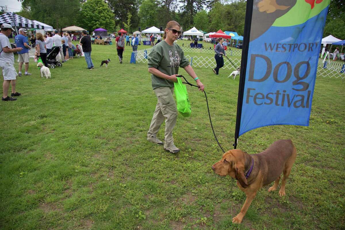 Dogs have their day at Winslow Park