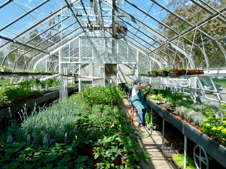 Ballard Greenhouse Plant Sale planned