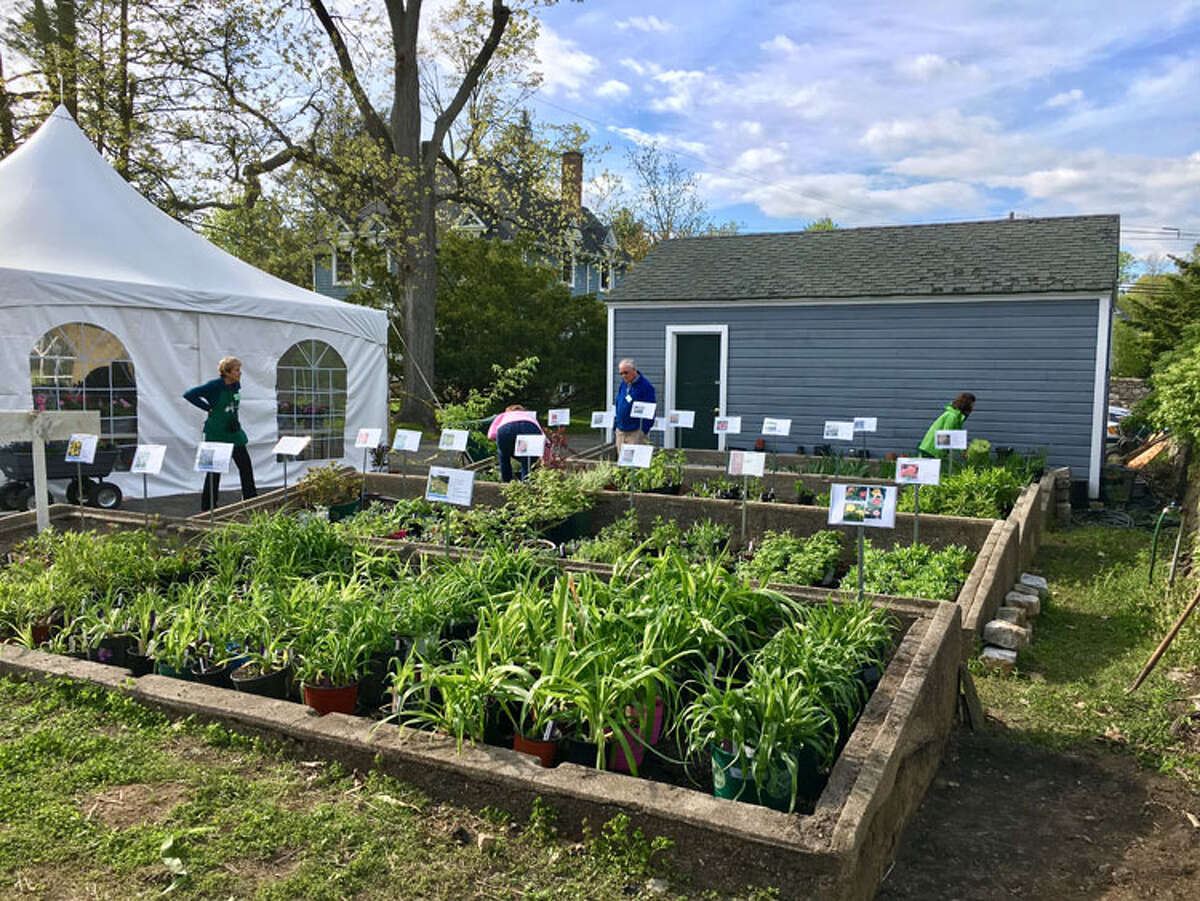 Ballard Greenhouse Plant Sale planned