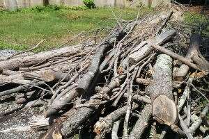 Pick up sticks!