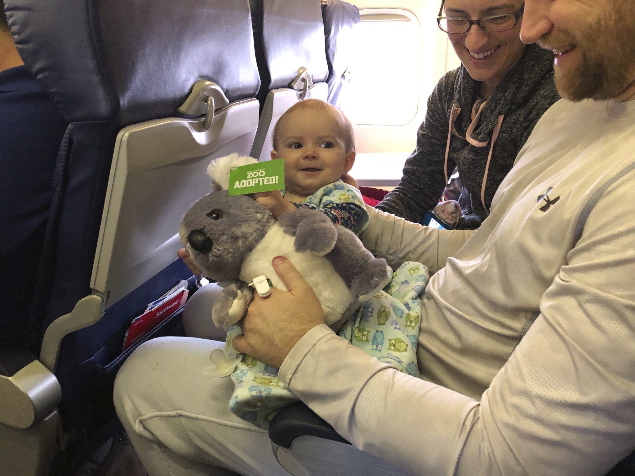 Koalas arrive at the San Antonio Zoo for the first time in decades