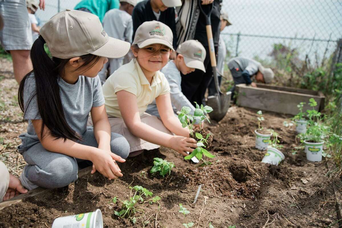 Bridgeport school wins national botanist grant