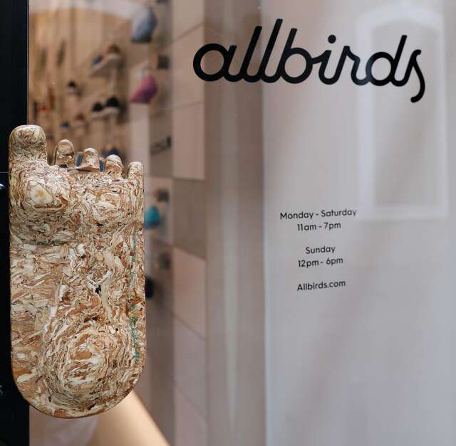buy allbirds in store