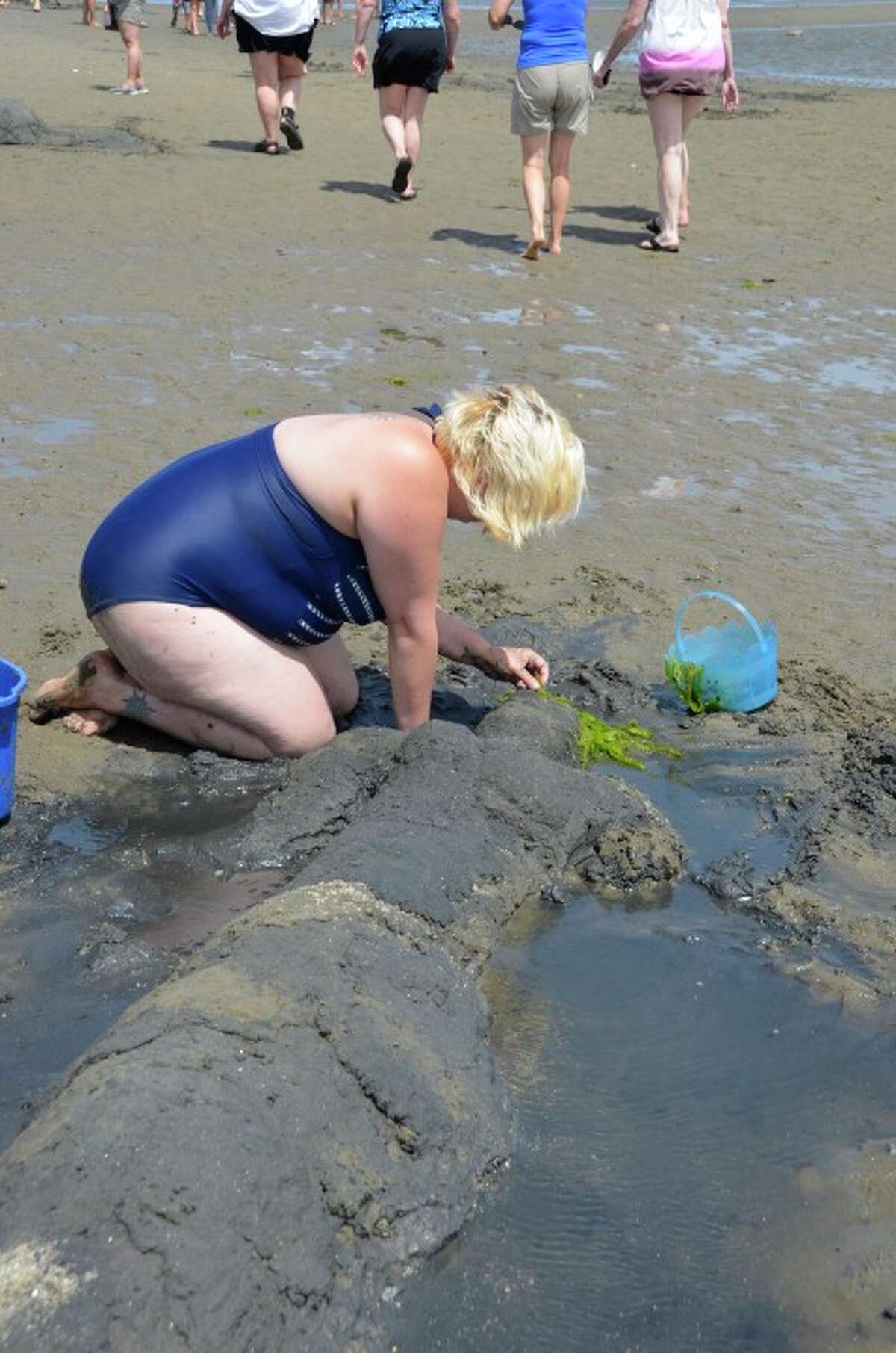 Sandcastle_39