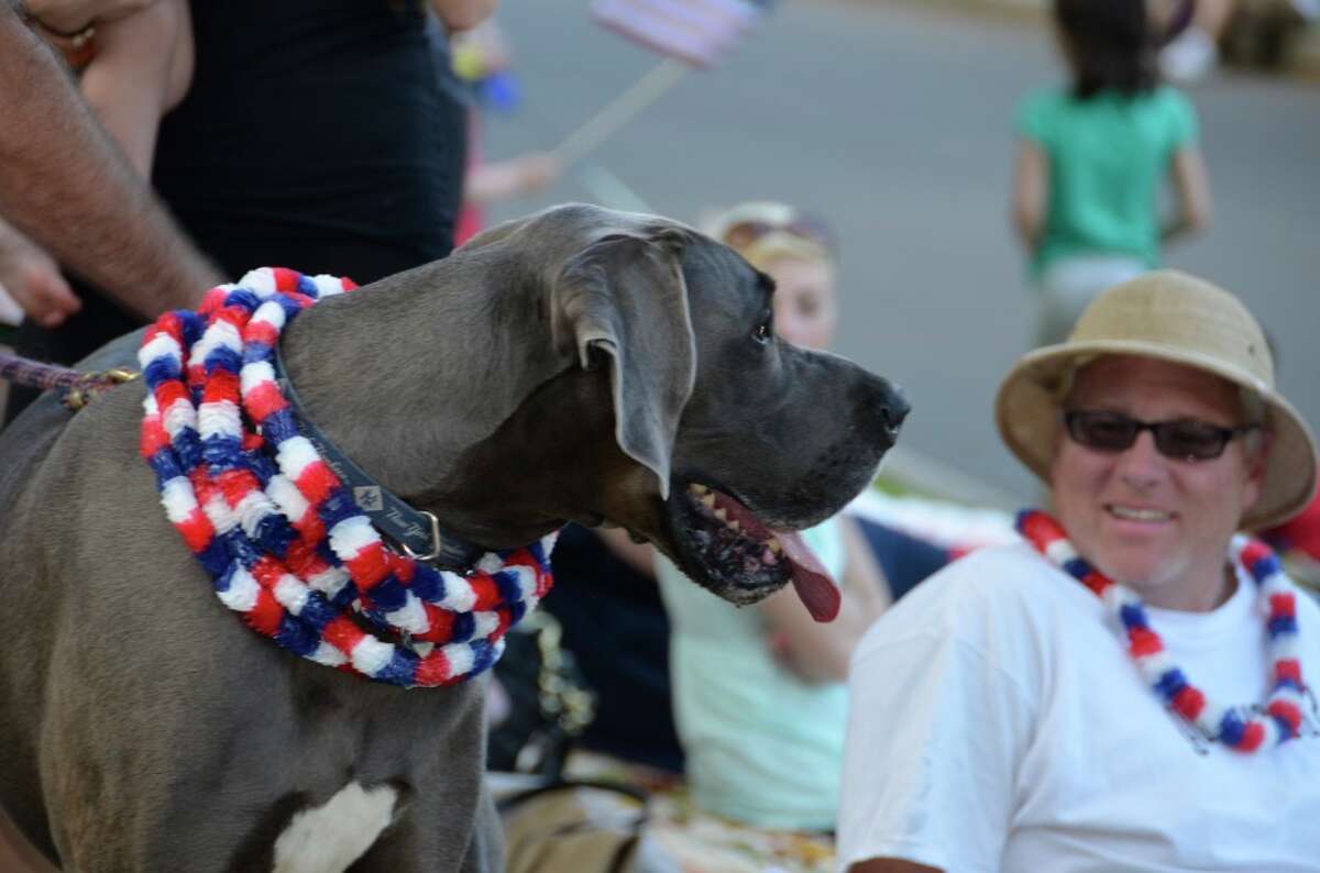 parade_44