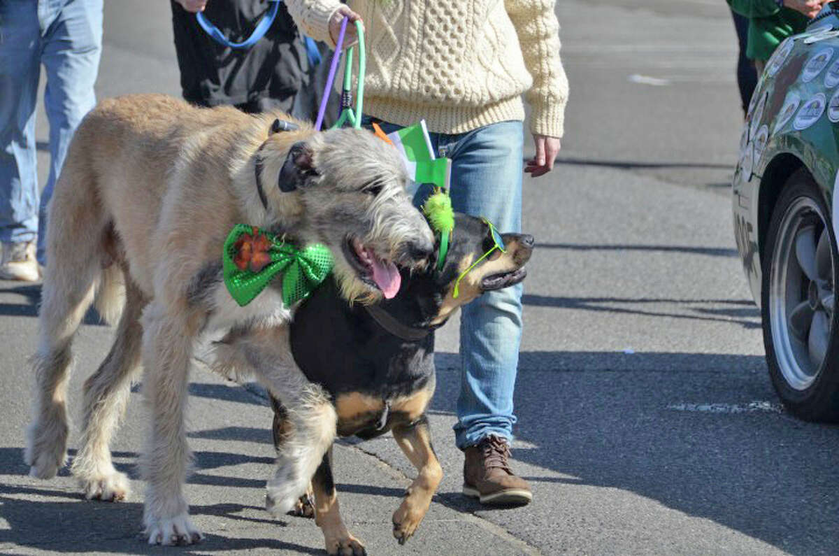 Patsparade2016_121