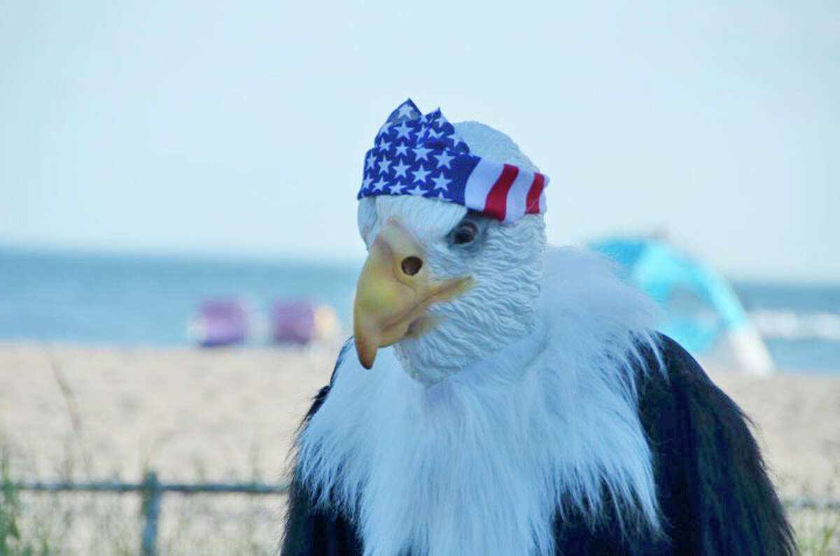 Bayview parade_43