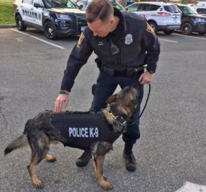 K9 Officer Bruno gets bulletproof protective vest