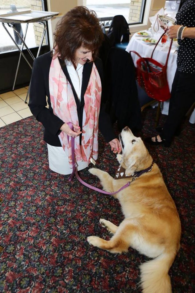 Lily the dog Crisis volunteer brightens people's spirits
