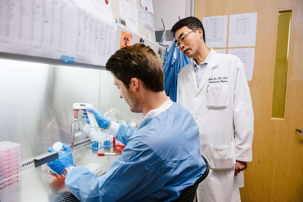 Dr. Joseph Wu, right, confers with masters student Nate Cunningham as he works in a lab at Stanford University in Stanford, Calif, on Friday, May 24, 2019. A new study, authored by Dr. Joseph Wu, Director of the Stanford Cardiovascular Institute, to be published in the Journal of the American College of Cardiology, finds that the flavoring liquid used in e-cigarettes may cause cardiovascular damage.