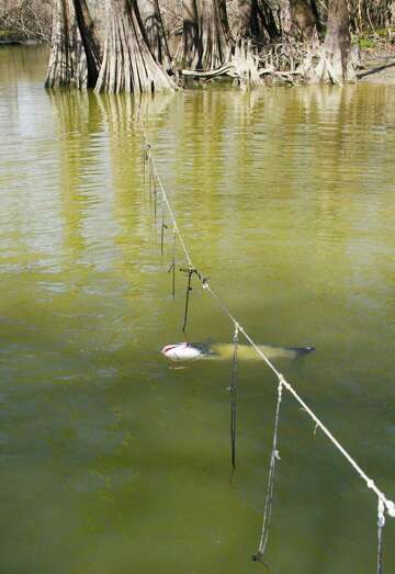 Derelict Fishing Lines Foul Texas Freshwater Fisheries
