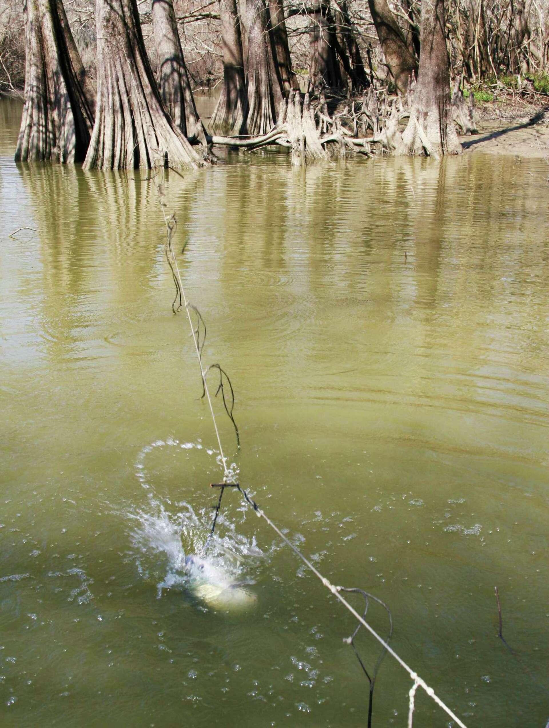 big fishing net 07 Amazon.com : Beoccudo Extra Large Fishing Landing Net