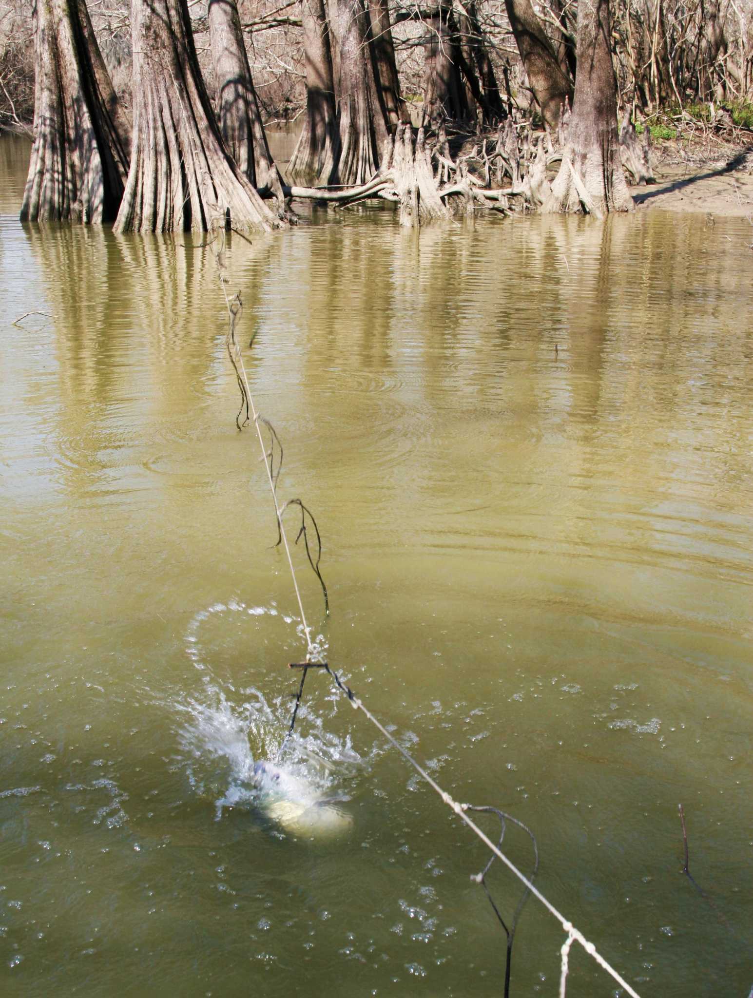 Derelict fishing lines foul Texas freshwater fisheries