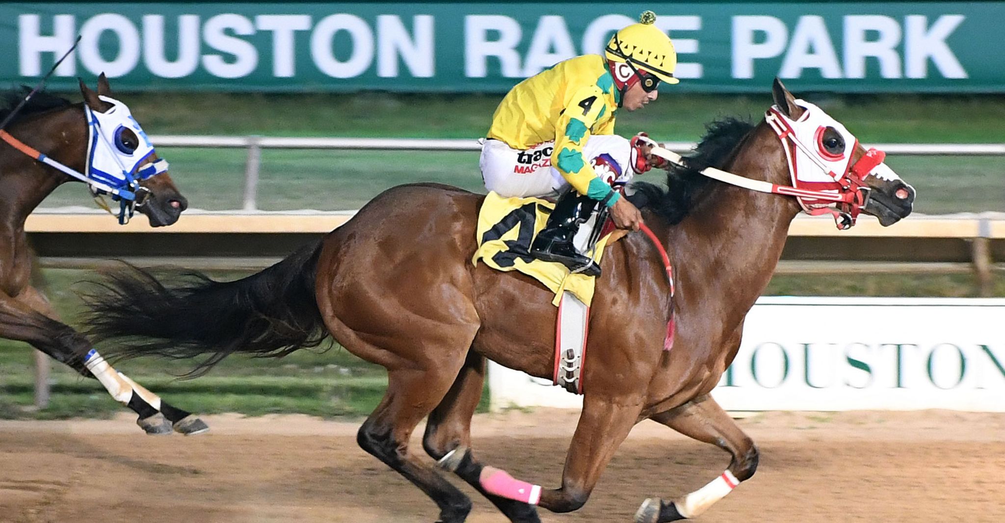 Mr Tereso, Hawkeye win at SHRP to wrap quarter horse season