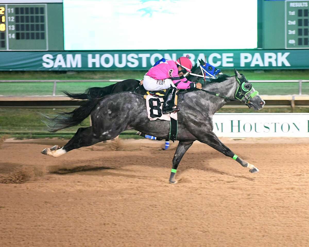 Mr Tereso, Hawkeye win at SHRP to wrap quarter horse season