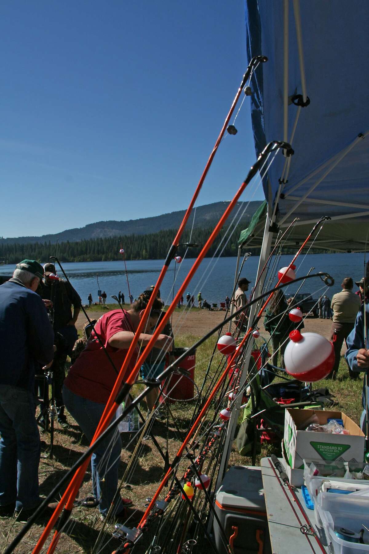The Department of Fish and Wildlife provided free loaner rods and bait to youngsters for Kid's Fishing Day at Lake Siskiyou